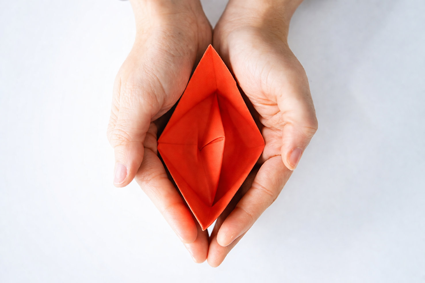 Improving Diagnosis and Patient Experience in Vulval Disease and Vulval Cancer